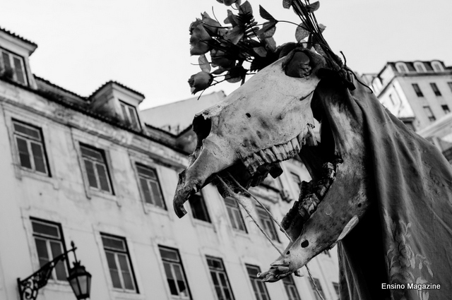 100 los_toros_y_los_guirrios_de_velilla_de_la_reina_DSC9381.jpg